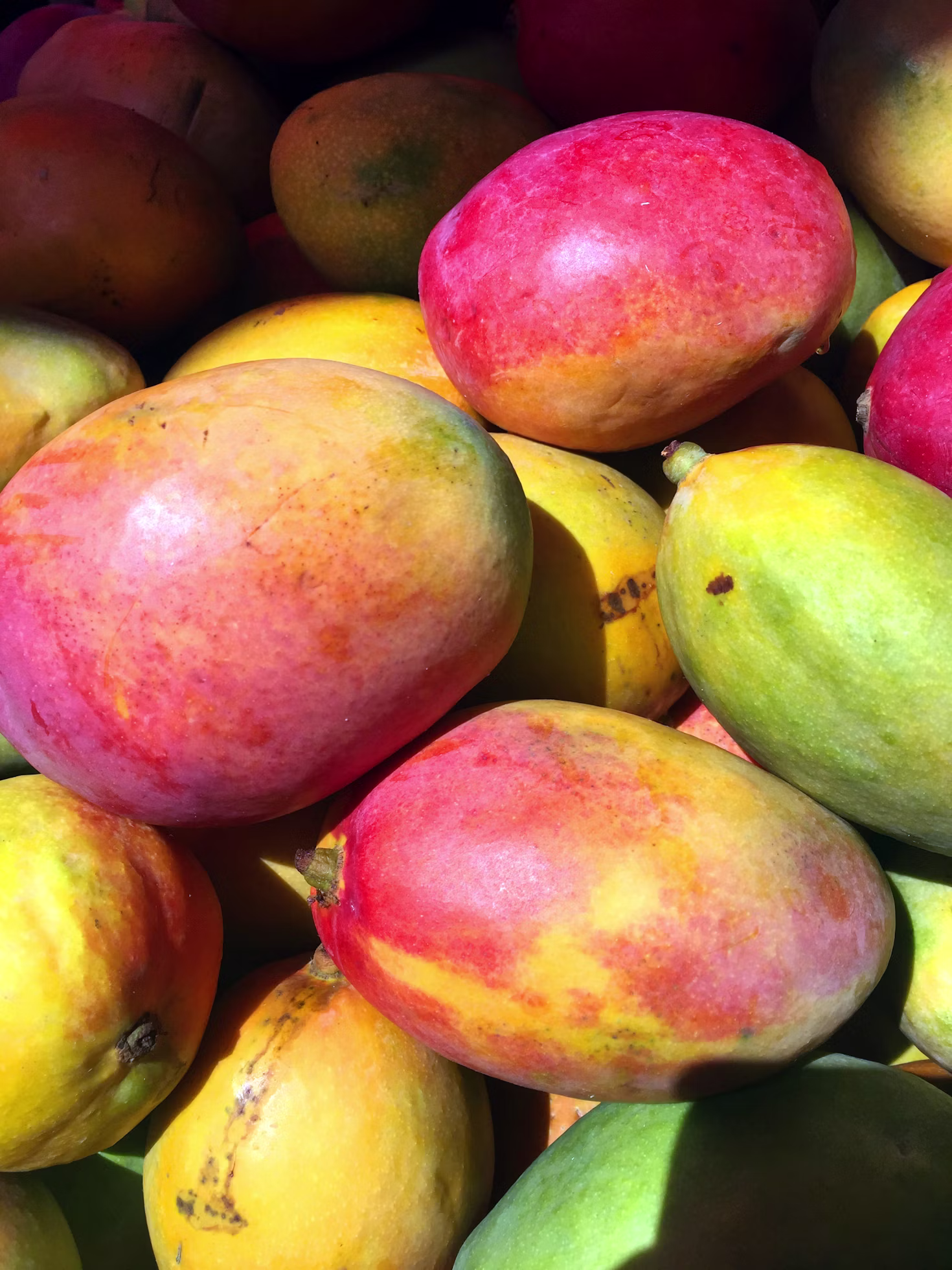 mango